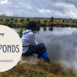 Hiking Seven Ponds, Aberdare Ranges, Kenya
